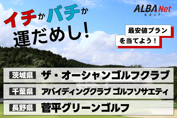 イチかバチか運試し「最安値プラン」を当てよう！